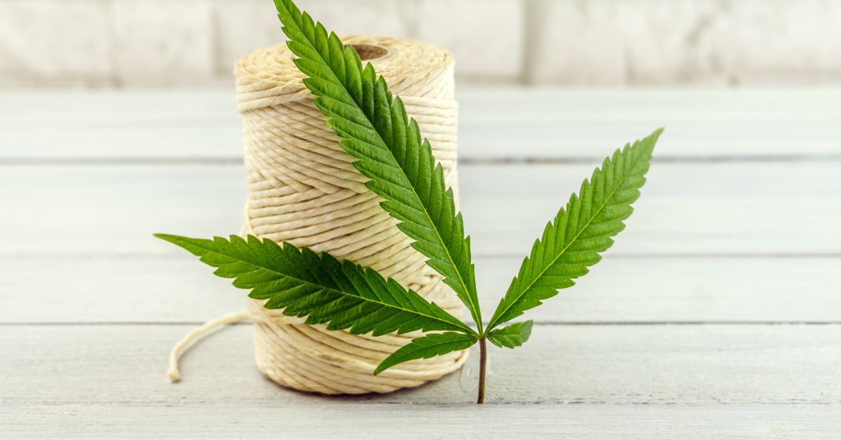 Menstruationstrusser: hamp vs syntetisk