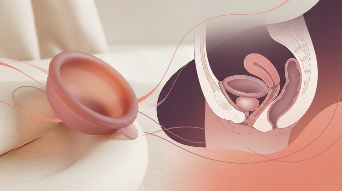 Menstrual Disc Guide: Ultimate Comfort, High Capacity, and Intimate Freedom in 2026